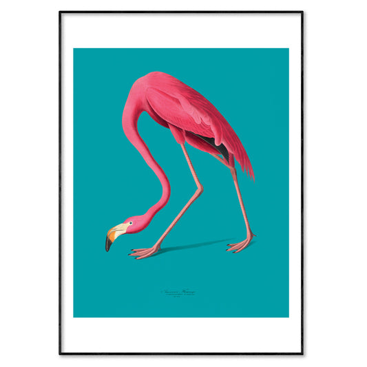 pink flamingo print