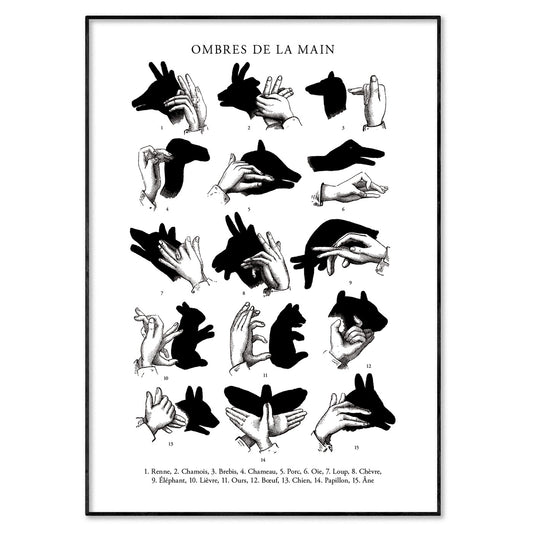 Hand Shadow Puppets Poster