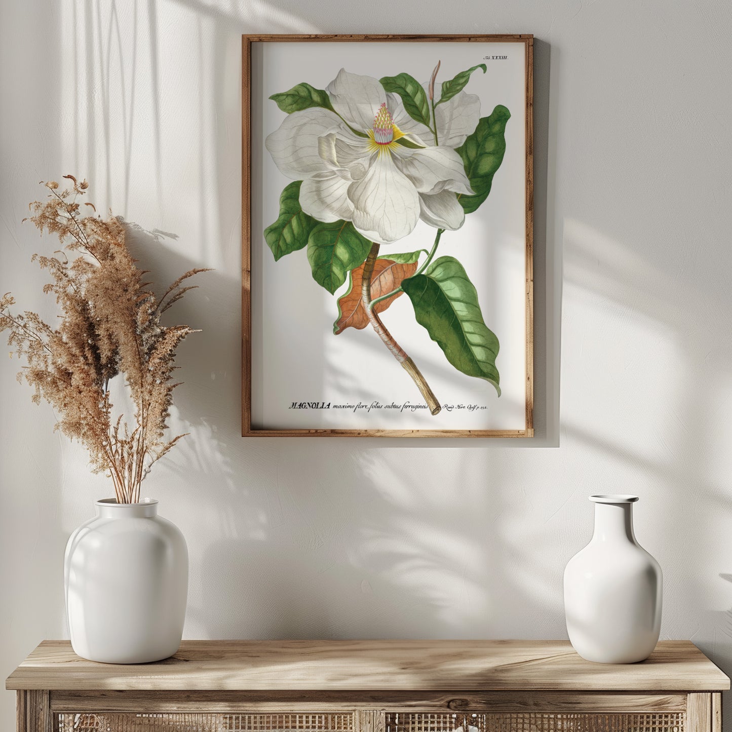 Magnolia Print from the Chelsea Physic Garden