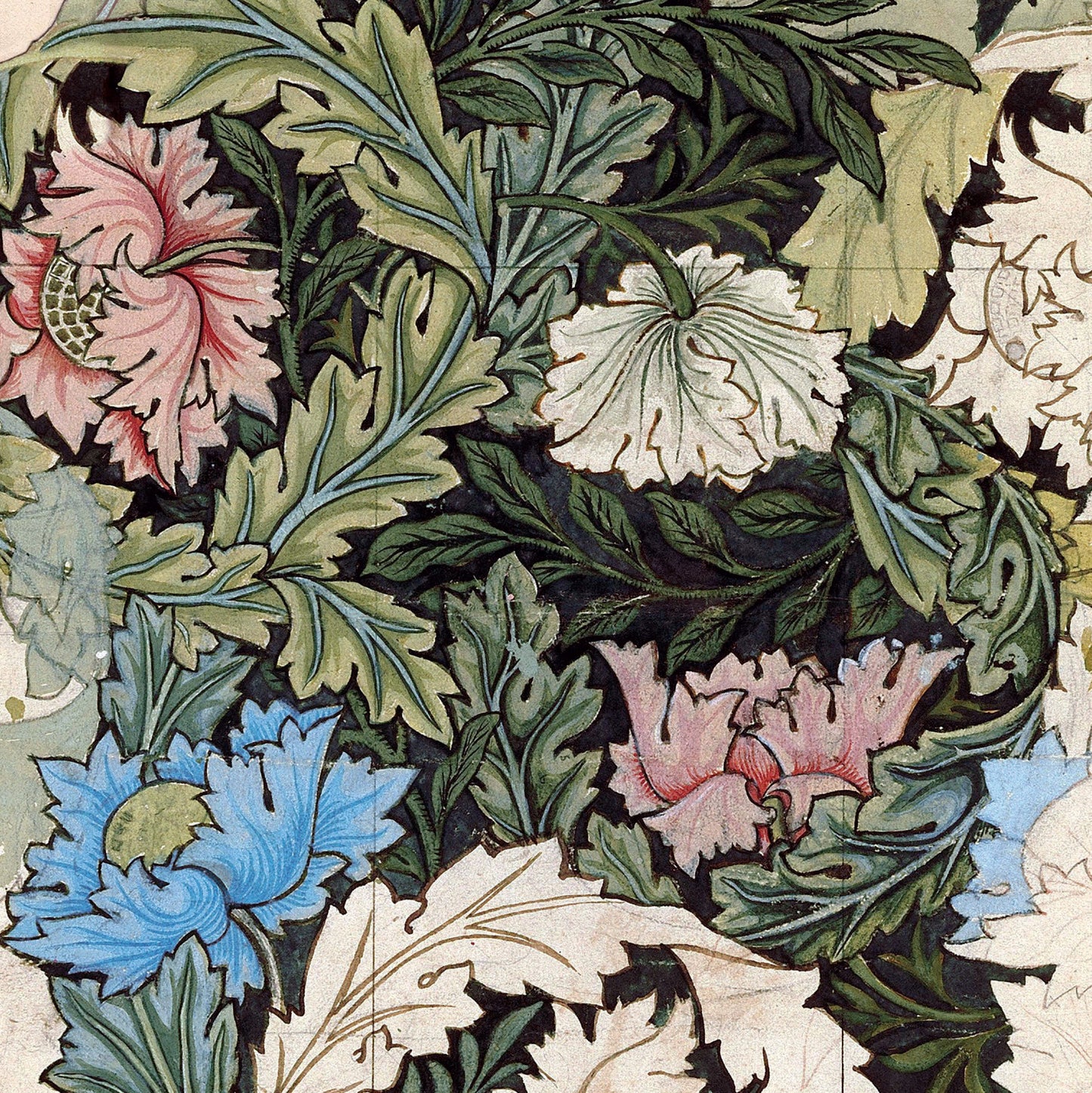 William Morris Drawings & Designs Exhibition Poster