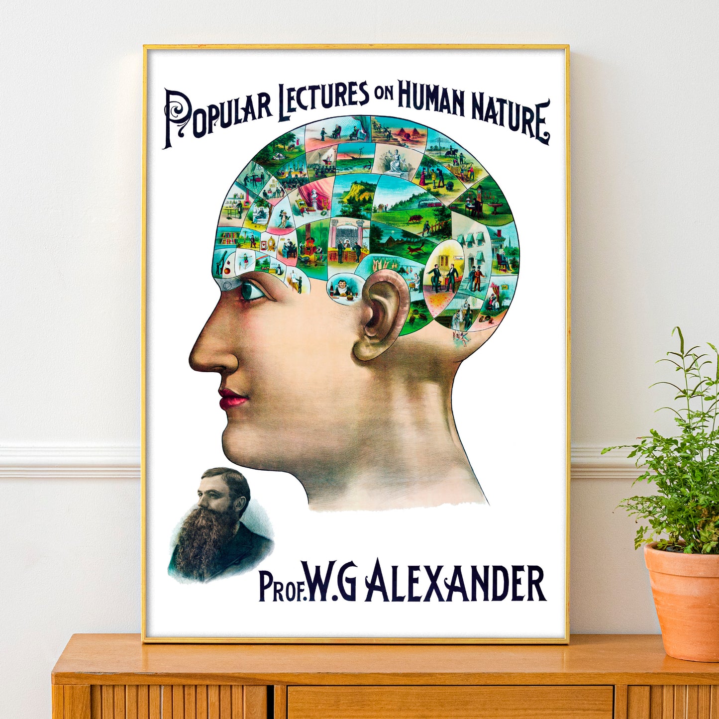 Victorian Phrenology Lecture Poster