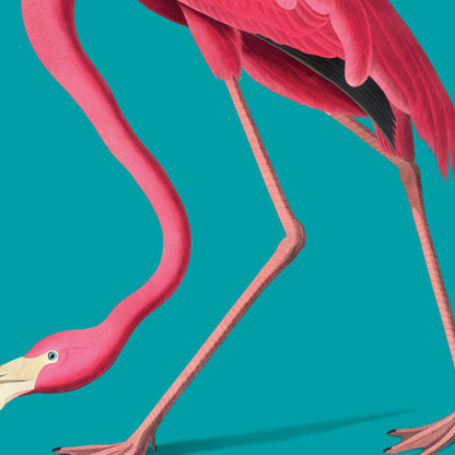 Vintage Pink Flamingo Illustration Print