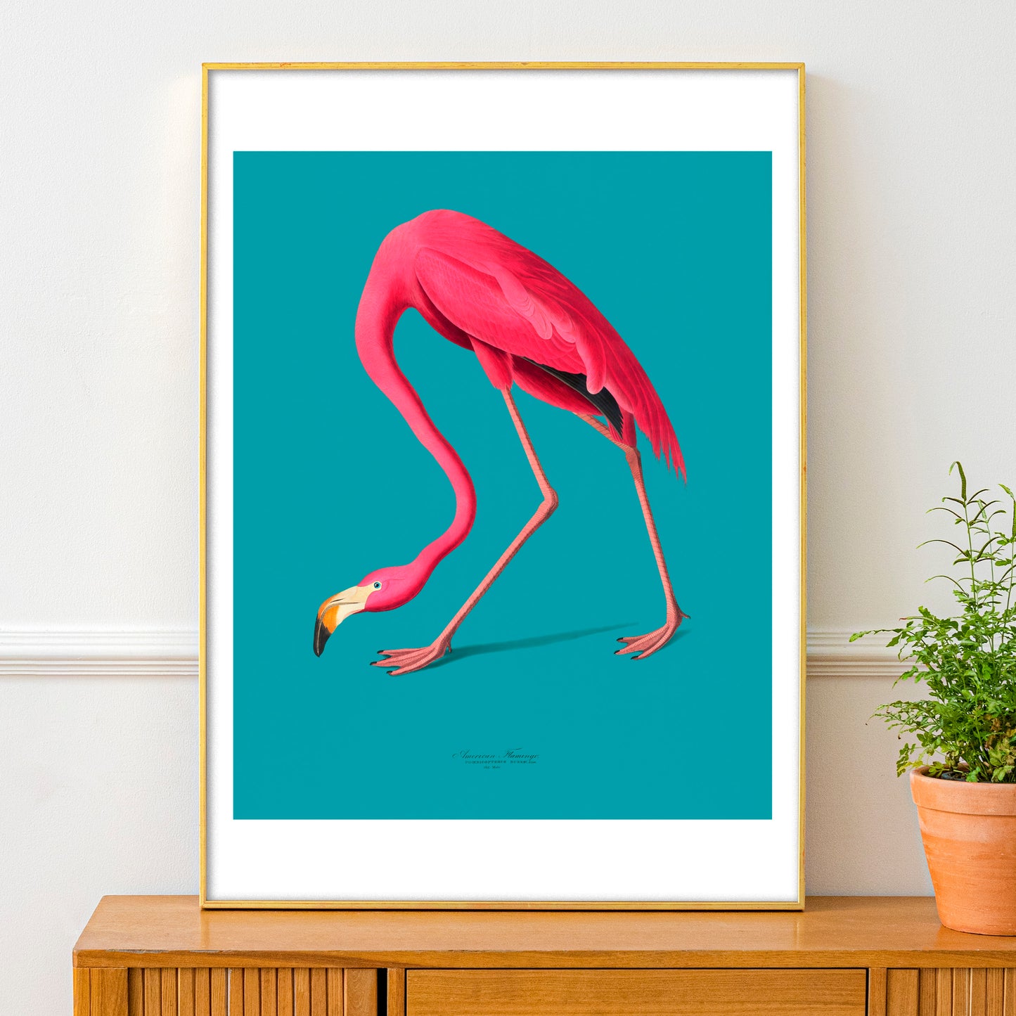 Vintage Pink Flamingo Illustration Print