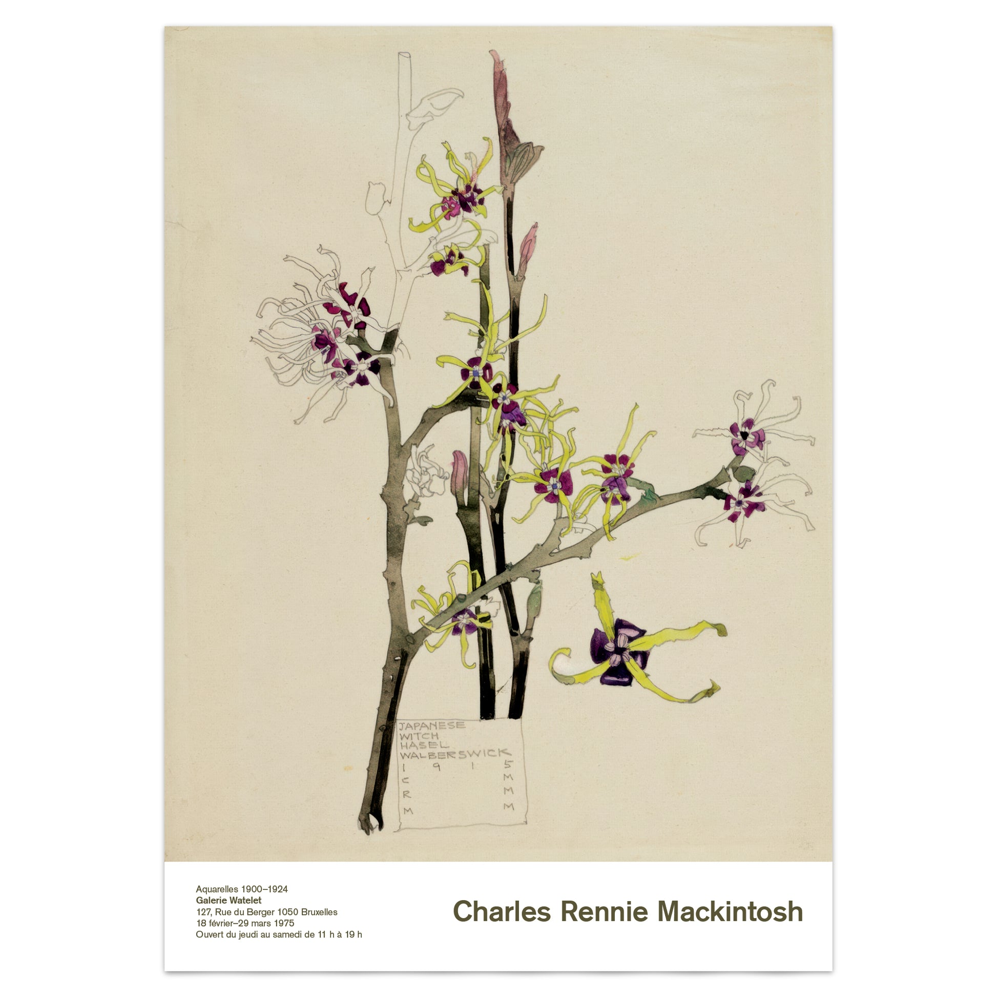 Arts and Crafts floral watercolour print Japanese Witch Hazel Mackintosh