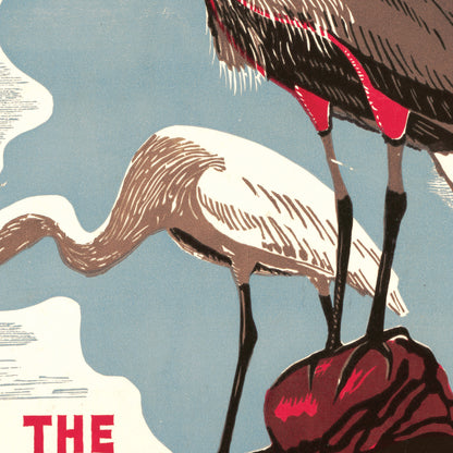 Visit The Zoo Poster