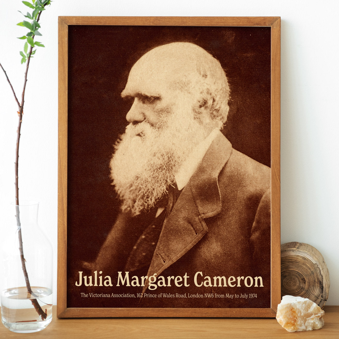 Julia Margaret Cameron Portrait of Charles Darwin - Exhibition Poster