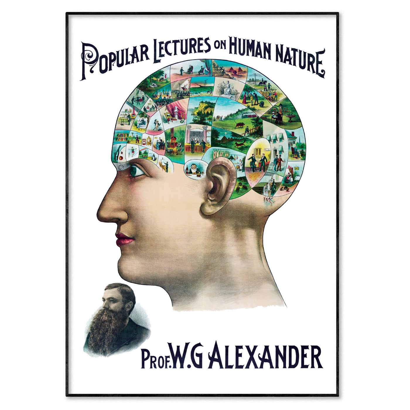 Victorian phrenology poster